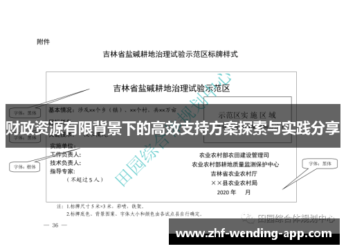 财政资源有限背景下的高效支持方案探索与实践分享